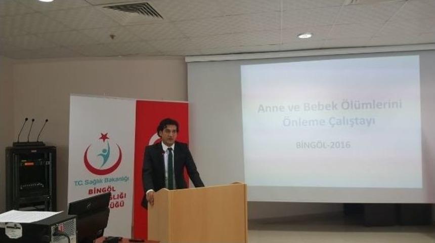 Anne Ve Bebek &Ouml;l&uuml;mlerinin &Ouml;nlenmesi &Ccedil;alıştayı