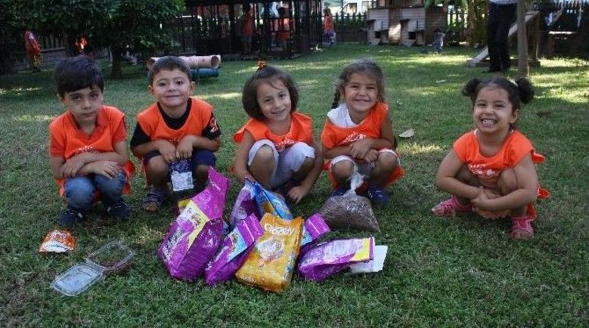 D&uuml;nya Hayvanları Koruma G&uuml;n&uuml;&rsquo;nde Kedi Parkına Ziyaret