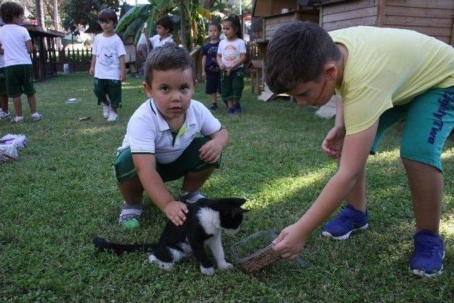 D&uuml;nya Hayvanları Koruma G&uuml;n&uuml;&rsquo;nde Kedi Parkına Ziyaret 1