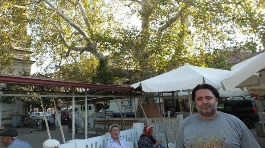 Burhaniye&rsquo;de Tarihi &Ccedil;ınar İlgi Bekliyor