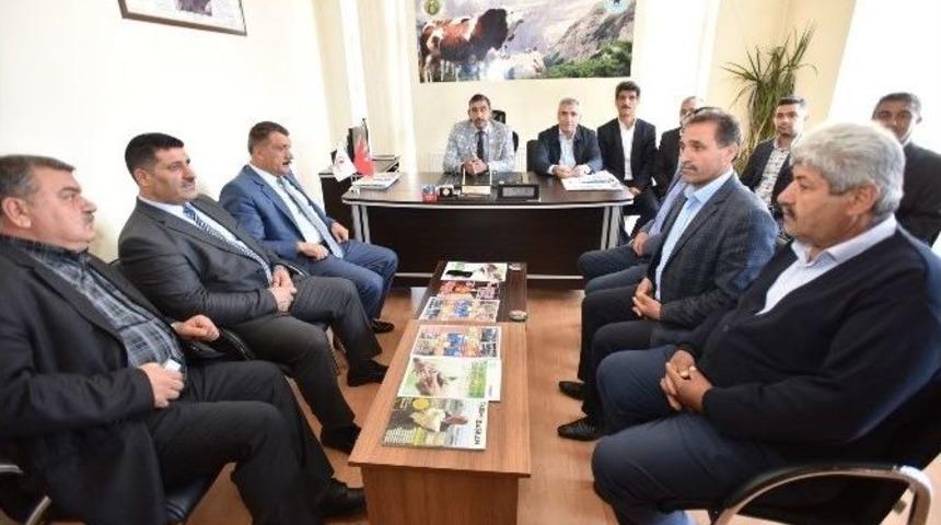 Hayvancılıkta Sorunlar Masaya Yatırıldı