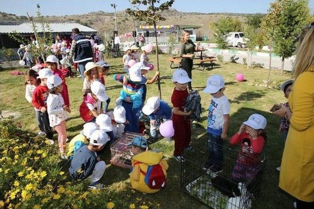 Kütahya’da Dünya Hayvanları Koruma Günü Etkinliği