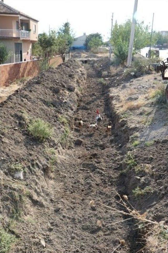 Yağcılar Mahallesindeki Dere Temizleniyor 2