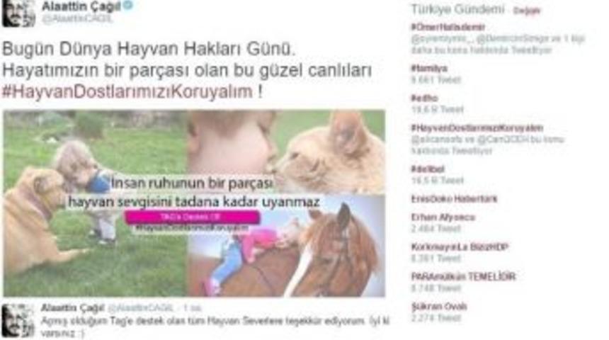 Twitter Fenomeni Hayvanlara Sahip &Ccedil;ıktı