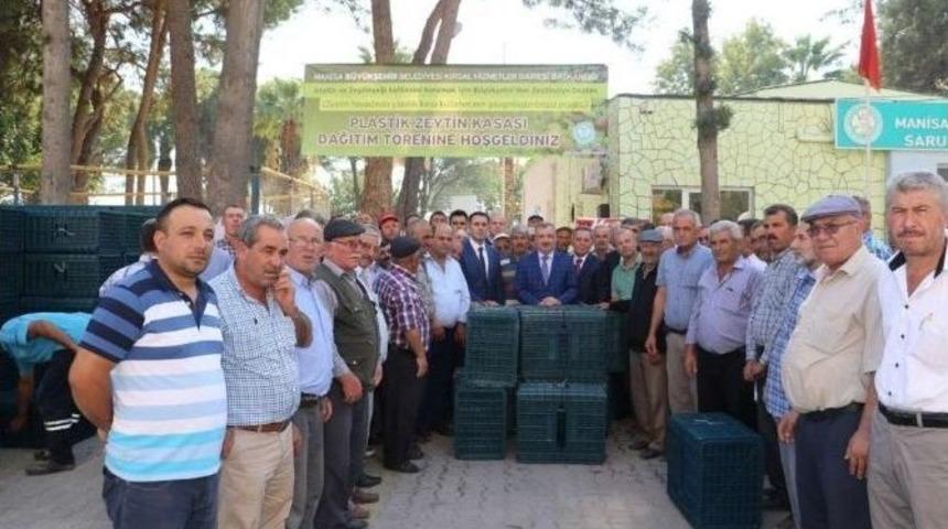 Zeytinde &Uuml;r&uuml;n Kaybı En Aza İnecek