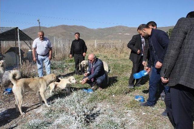 Ardahan’da 4 Ekim Dünya Hayvanları Koruma Günü Kutlandı