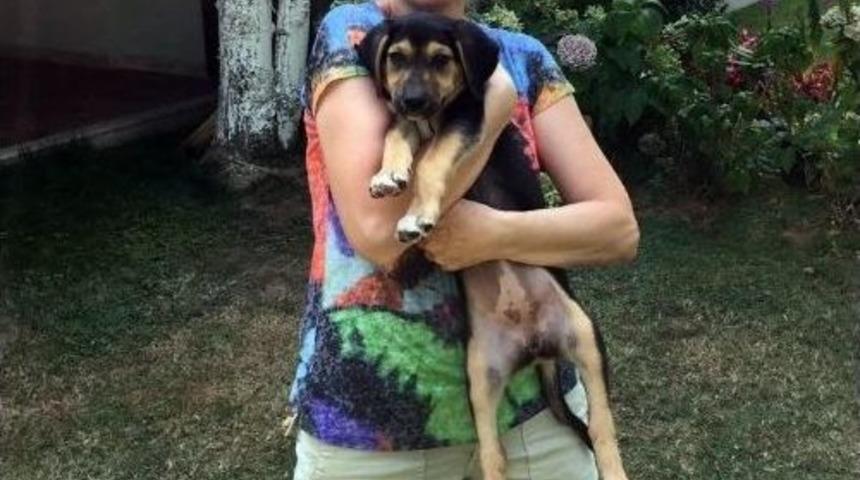 Maganda Kurşununa Hedef Olan Mankenin Vurulma Anı Güvenlik Kamerasında