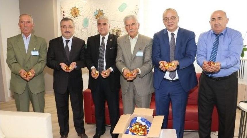 B&uuml;y&uuml;kşehirin H&uuml;nnapları İlk Meyvesini Verdi