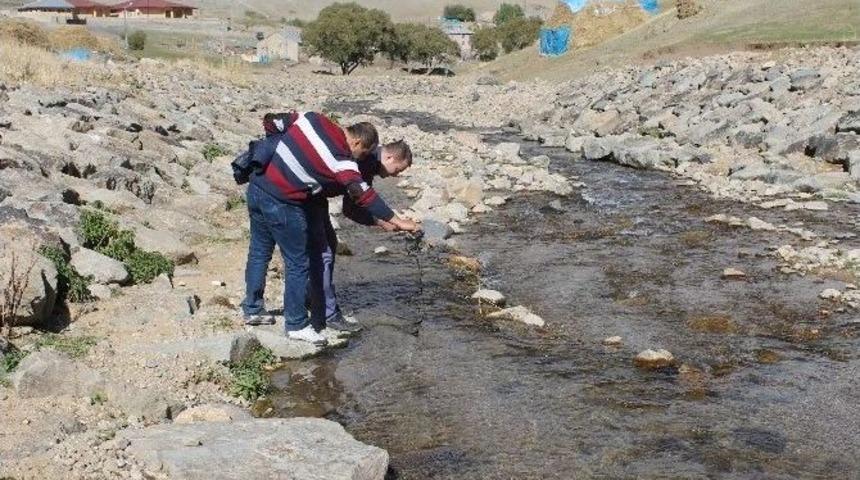 Ağrı&rsquo;da Su &Uuml;r&uuml;nleri Yetiştiriciliği
