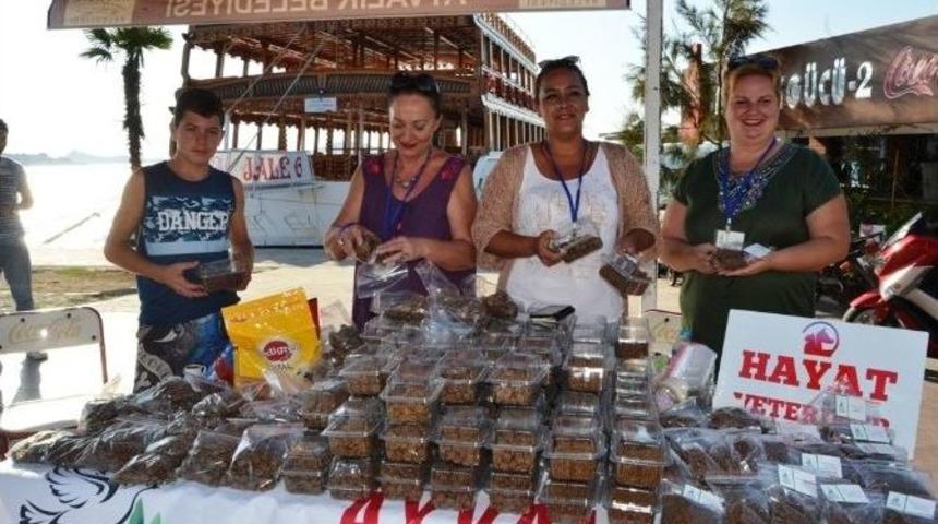 Ayvalık&rsquo;ta Sokak Hayvanlarına Anlamlı Destek