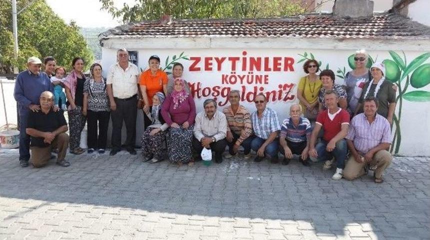 Zeytinler K&ouml;y&uuml; Tertemiz Oldu