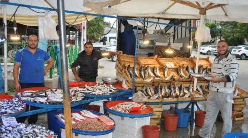 Palamut Pazarların G&ouml;zdesi