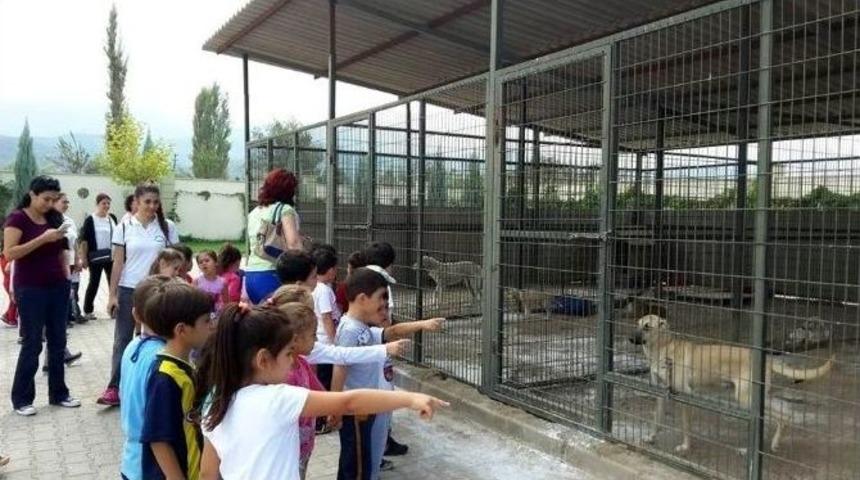 Minik &Ouml;ğrenciler Sevimli Dostları Unutmadı