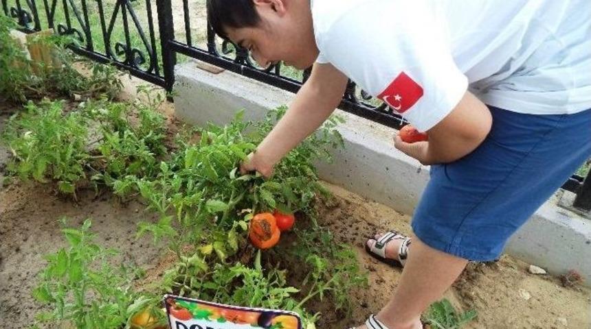 B&uuml;y&uuml;k&ccedil;ekmece&rsquo;nin İzcileri &ldquo;engel&rdquo; Tanımıyor