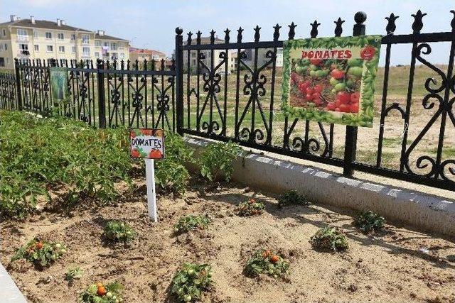 Büyükçekmece’nin İzcileri “engel” Tanımıyor 3