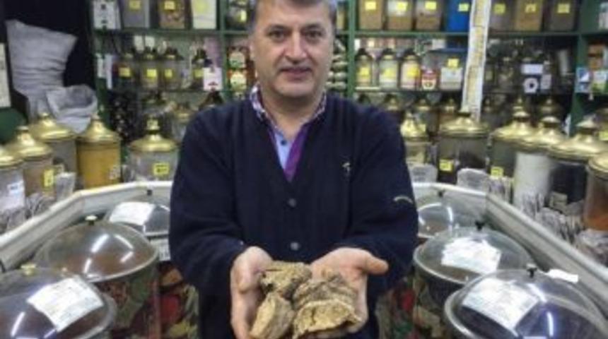 Viagra&rsquo;ya Bitkisel Rakip &lsquo;&ccedil;akşır K&ouml;k&uuml;&rsquo;