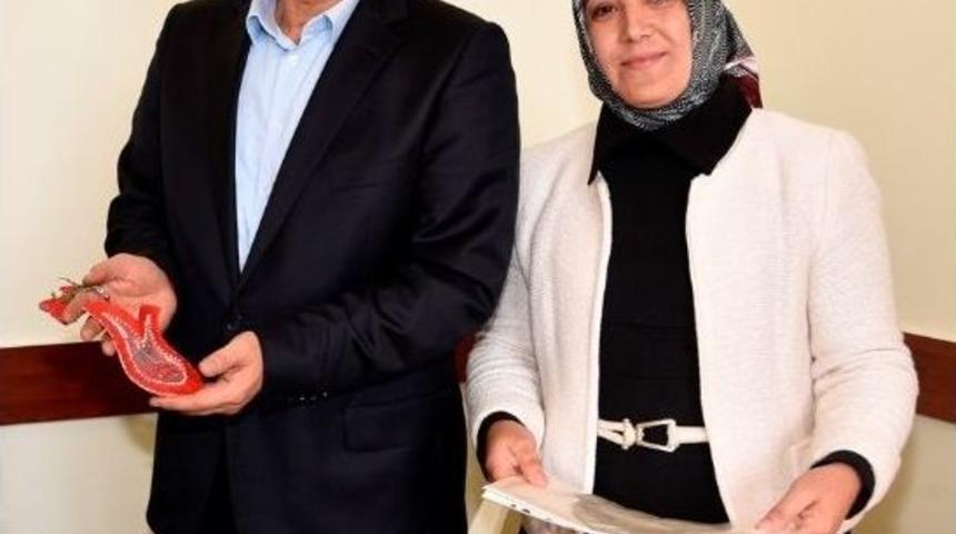 Hanımlar İnce Elediler Sık Dokudular Sertifikayı Aldılar