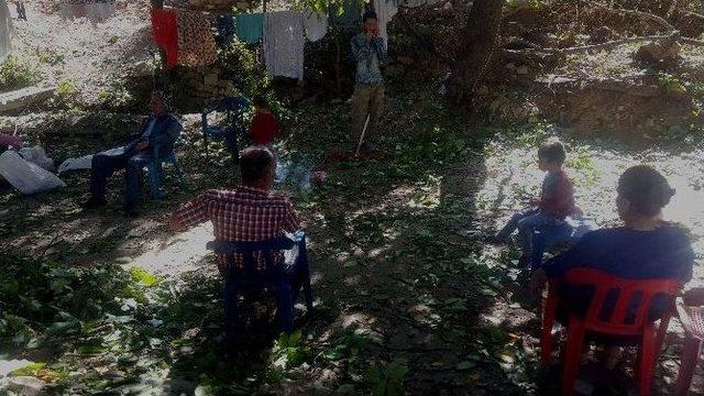 Beyt&uuml;şşebap İl&ccedil;esinde Ceviz Toplama Mevsimi Başladı 3