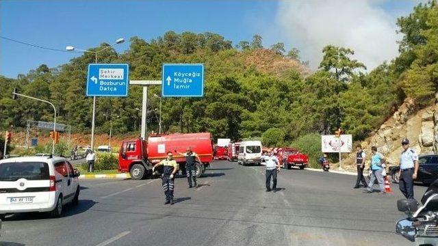 Marmaris’te Orman Yangını 2
