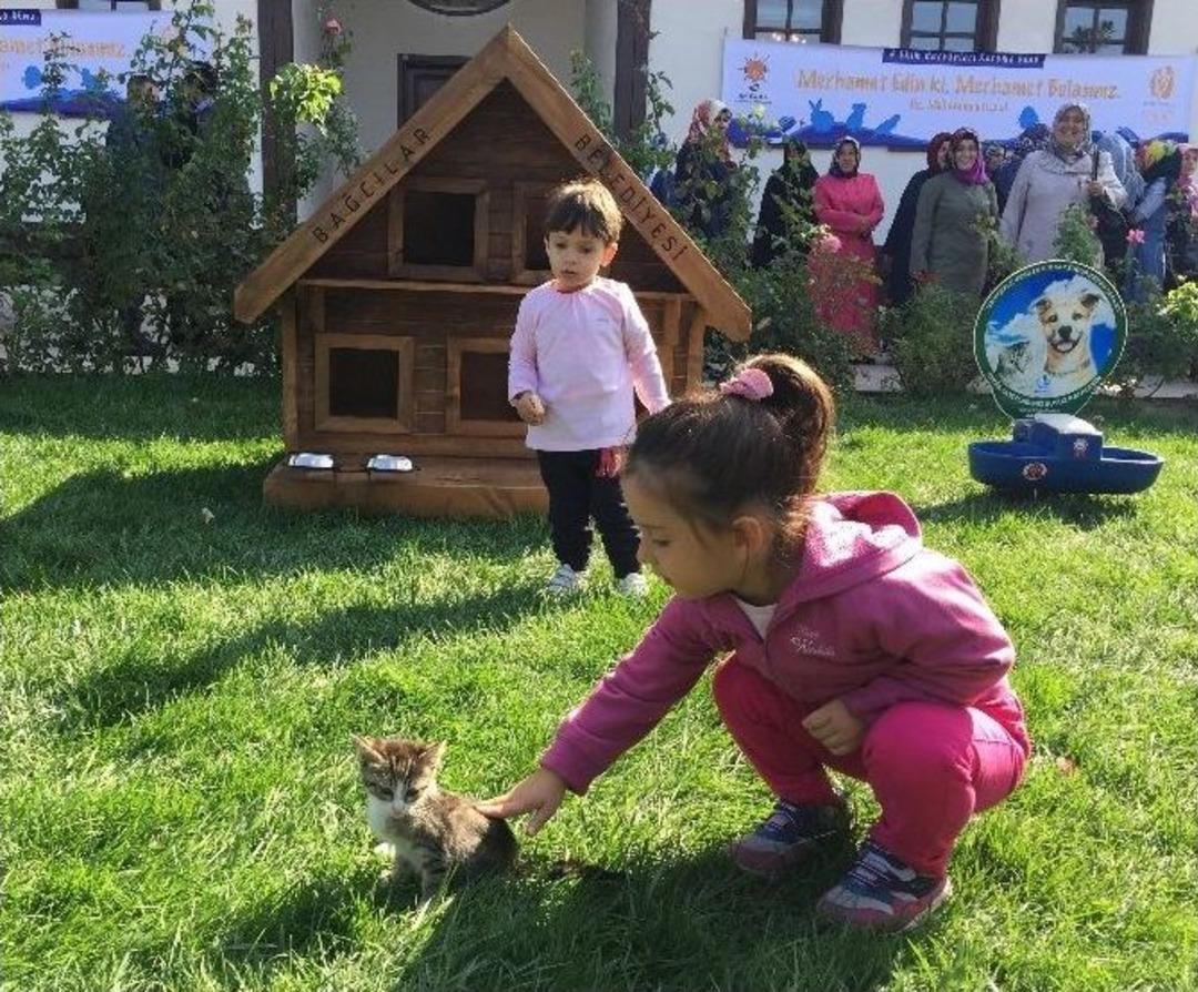 Engelli Bireyler Hazırladıkları Yuvalarla Kuşları Isıtacak