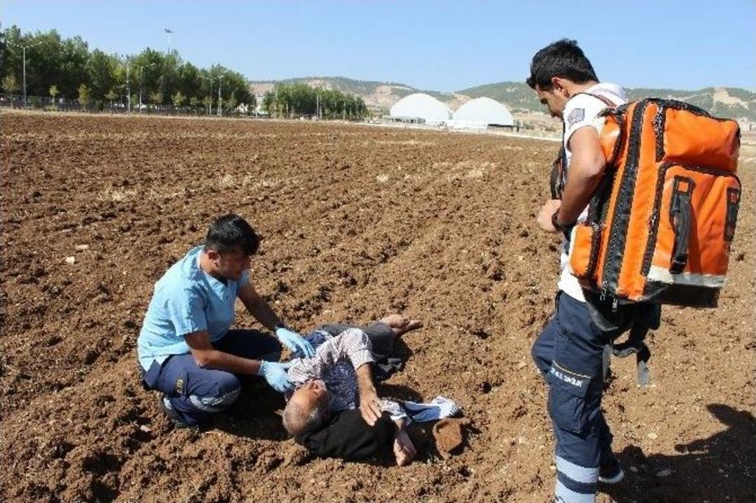 Tarla Ortasında G&uuml;neşlenen Şahsı &Ouml;ld&uuml; Sandılar