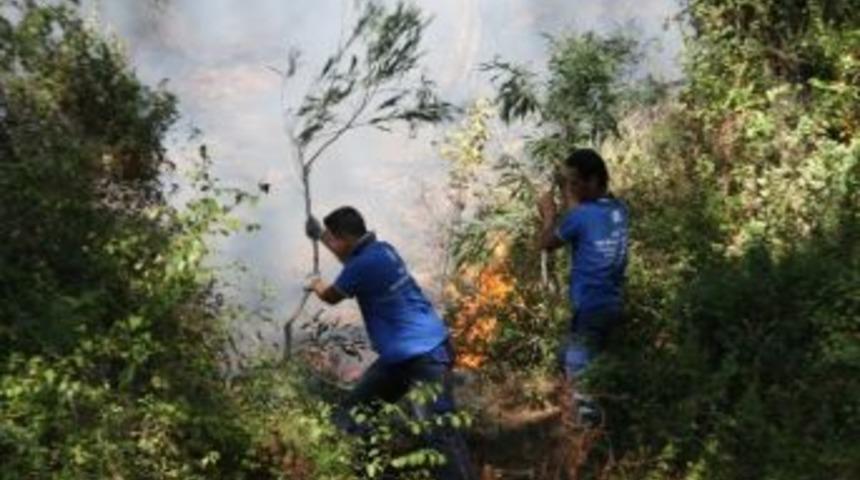 Marmaris&rsquo;te &Ccedil;ıkan Orman Yangını S&ouml;nd&uuml;r&uuml;ld&uuml;