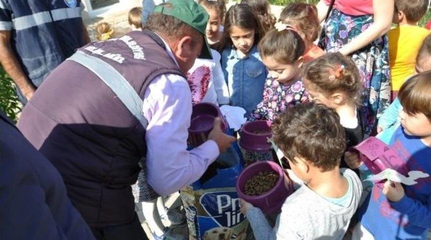 Minikler Can Dostlara Mama Verdi