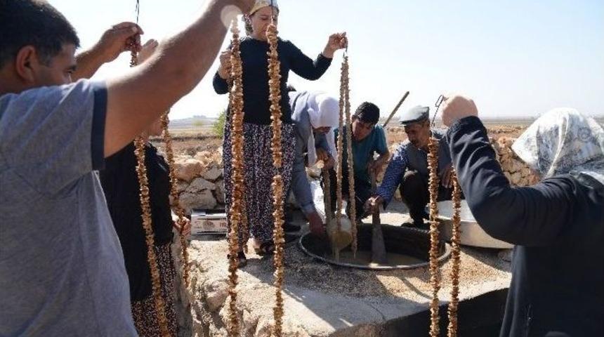 Yaşlılar Ve Gen&ccedil;ler Bağbozumunda Buluştu