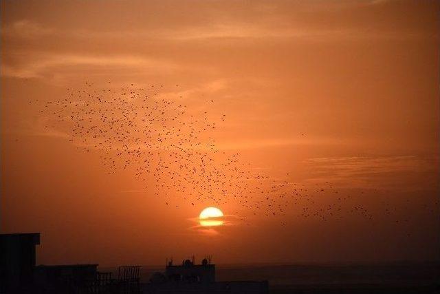 Nusaybin&rsquo;de Tarihi İpek Yolunda G&uuml;n Batımı 1