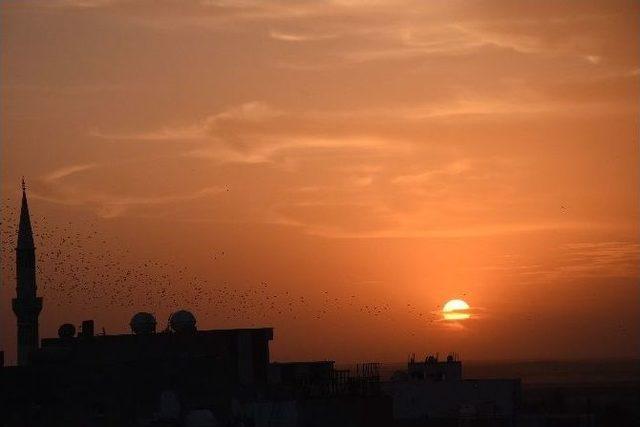 Nusaybin&rsquo;de Tarihi İpek Yolunda G&uuml;n Batımı 3