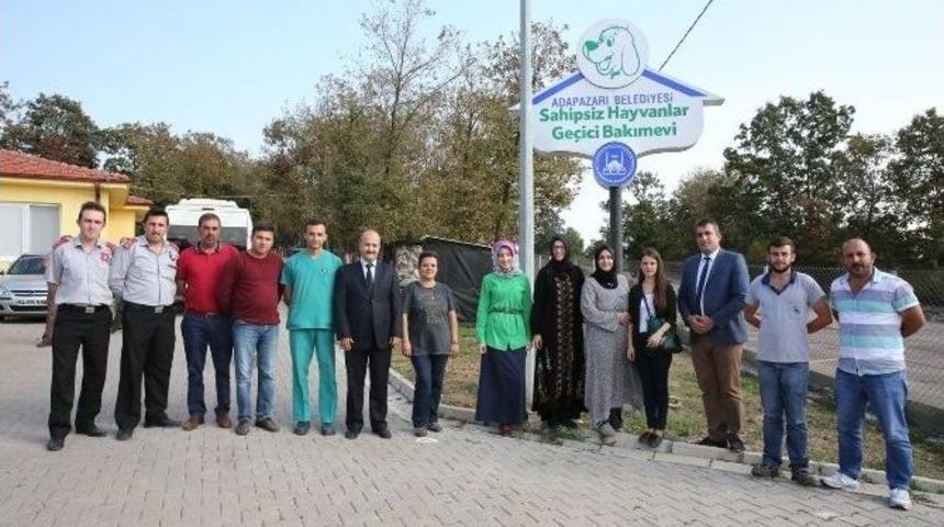 Orman Su İşleri, Barınağa Kedi Evi Hediye Etti