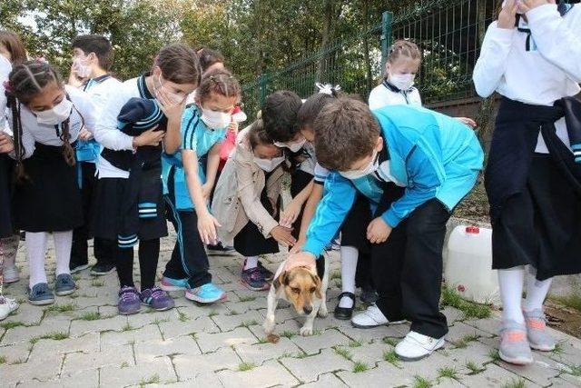 Orman Su İşleri, Barınağa Kedi Evi Hediye Etti