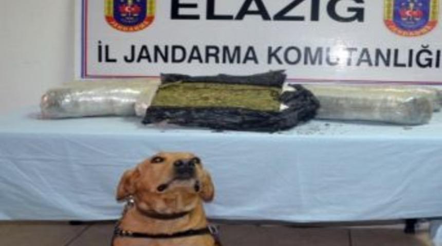 Trende 24 Kilogram Esrar Ele Ge&ccedil;irildi