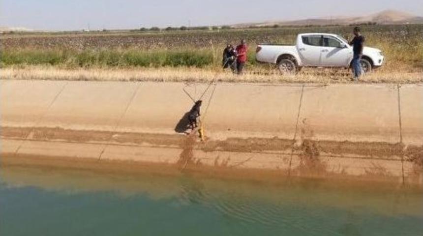 Kanala Düşen Köpek İtfaiye Ekiplerince Kurtarıldı