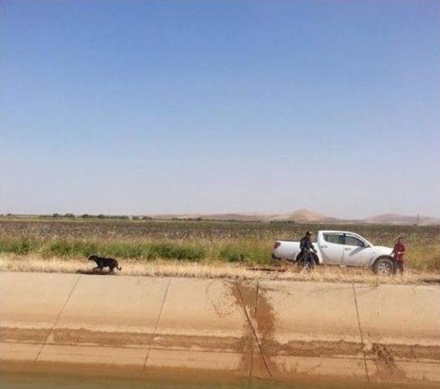 Kanala Düşen Köpek İtfaiye Ekiplerince Kurtarıldı