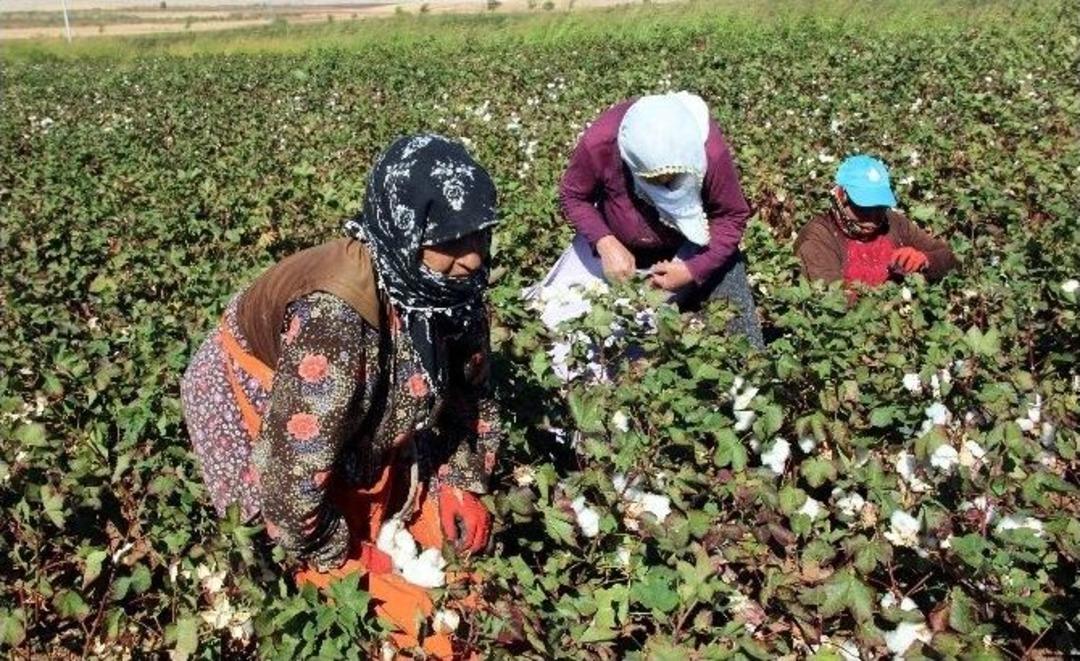 Pembe Hayallere &rsquo;beyaz&rsquo; Umut