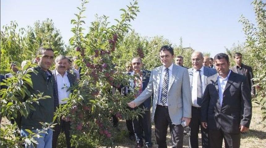Meyvecilik Yeni Gelir Kapısı Oluyor