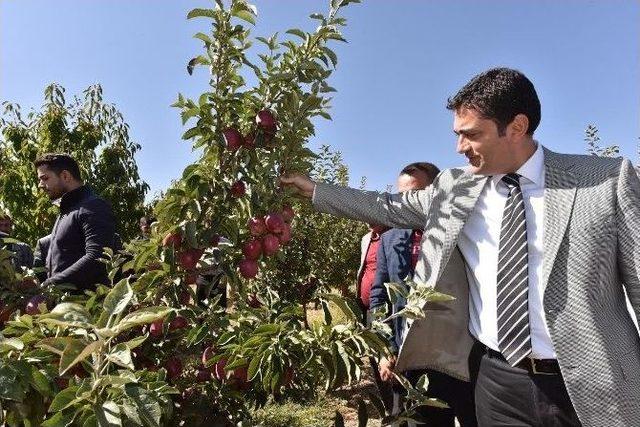 Meyvecilik Yeni Gelir Kapısı Oluyor