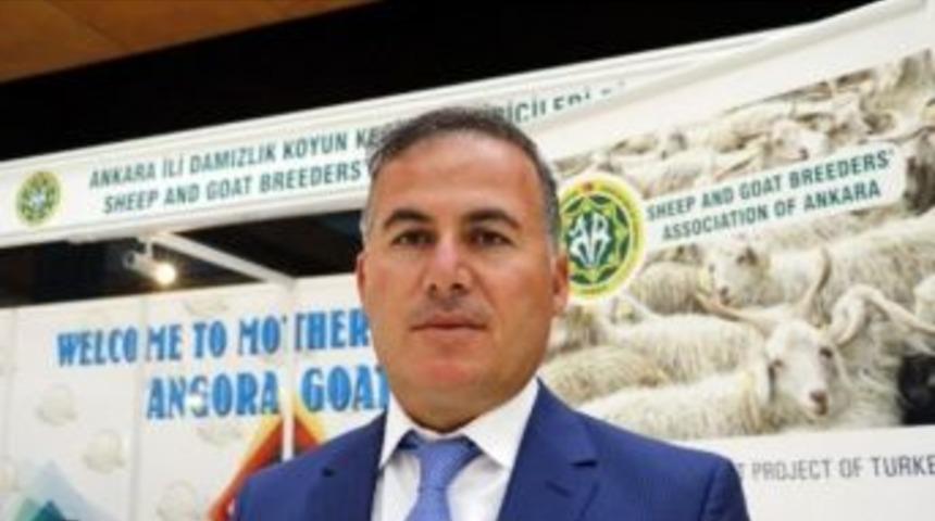 Koyun Ke&ccedil;i Yetiştiricileri Bir İşaret Bekliyor