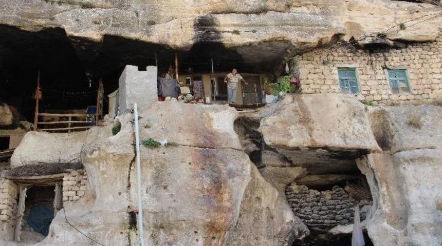 (&ouml;zel Haber) Kışı Mağarada Ge&ccedil;irmek İ&ccedil;in Hazırlıklarını Tamamladı
