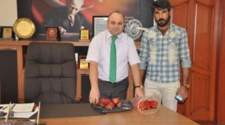 Sal&ccedil;alık Kırmızıbiber Besni&rsquo;de Yetiştirilecek