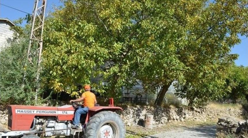 Adilcevaz&rsquo;da Ceviz Hasadı