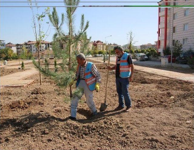Elazığ&rsquo;da Belediye Tarafından Yetiştirilen Ağa&ccedil;lar Dikildi 1