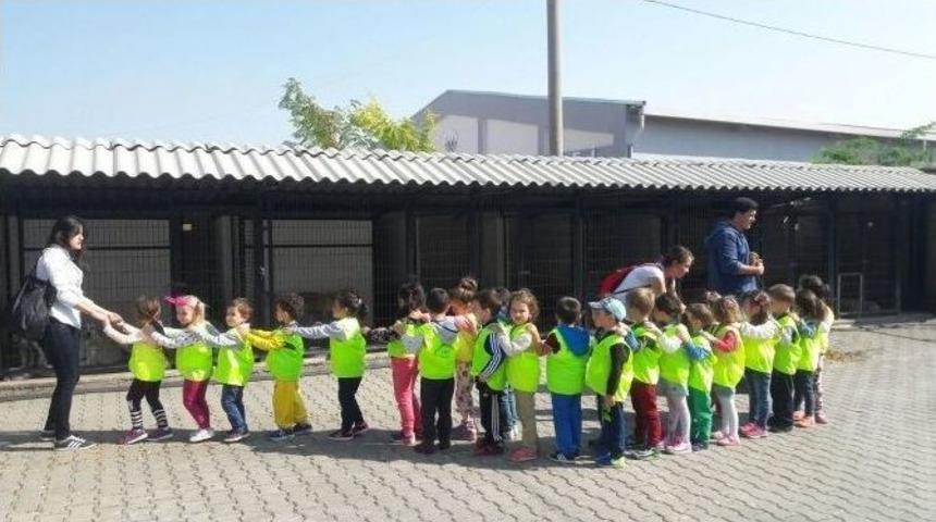 Hayvan Barınağına Ziyaret&ccedil;i Akını