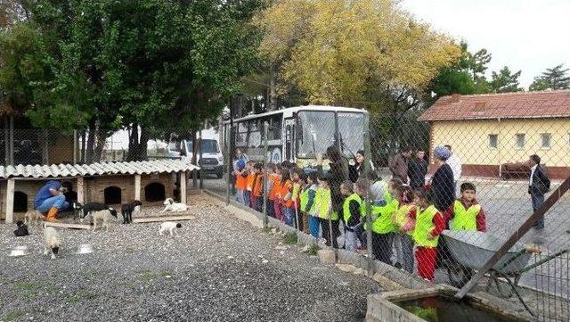 Hayvan Barınağına Ziyaretçi Akını