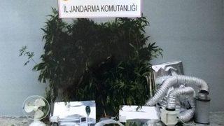 Trabzon’da Özel Düzeneklerle Uyuşturucu Yetiştirilen Eve Baskın Düzenlendi