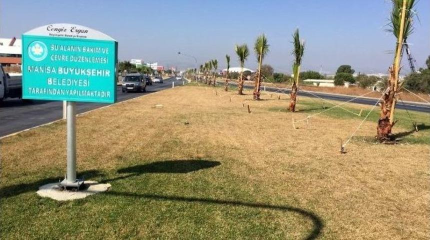 Bilin&ccedil;sizce Atılan Kostik Yeşil Dokuyu Kuruttu