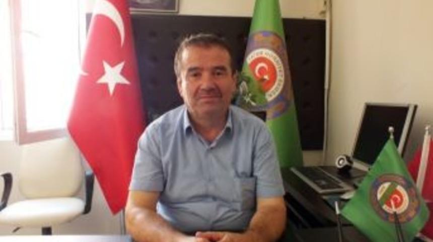 Didim Ziraat Odası Pamuk Toplama &Uuml;cretlerini A&ccedil;ıkladı