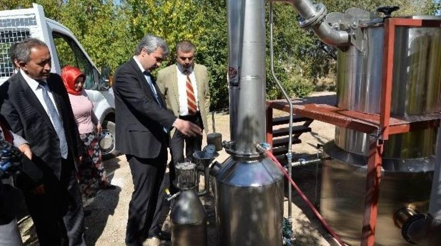 Kayseri&rsquo;de Bir İlke Daha İmza Atıldı: Lavanta Yağı &Uuml;retimi İ&ccedil;in Distilasyon &Uuml;nitesi Kuruldu