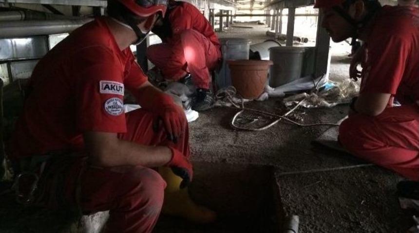 Akut Ekipleri, Yavru Kedi İçin Seferber Oldu